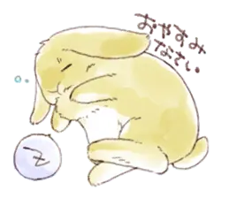 わんこじゃないよ、うさぎだよ。
