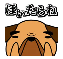 動くぜよ！土佐犬がおったとさ