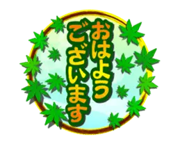 動く！使えるバラエティパック４