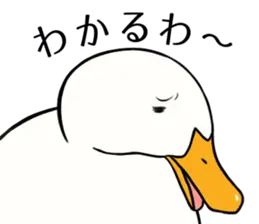 あひるさんの8