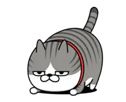 動く 擦れねこ（サバトラ）