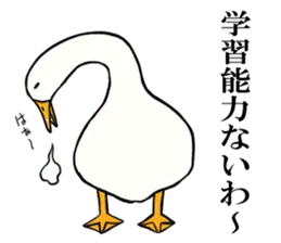 あひるさんの8