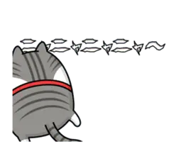 動く 擦れねこ（サバトラ）