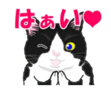 動く！ハチワレねこのシュー２