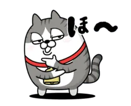 動く 擦れねこ（サバトラ）