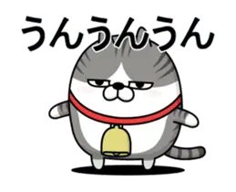 動く 擦れねこ（サバトラ）