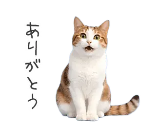 猫★家族連絡2
