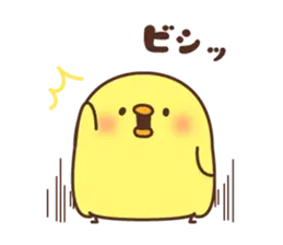 ひよこさん5