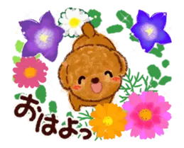 秋♡ 可愛く動く♪トイプードル