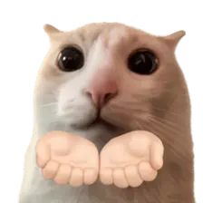 Silly Goofy Dip Catto