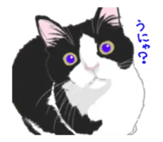 動く！ハチワレねこのシュー１