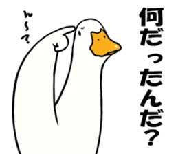 あひるさんの9