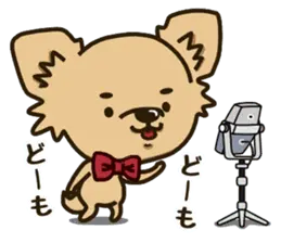 チワワ師匠