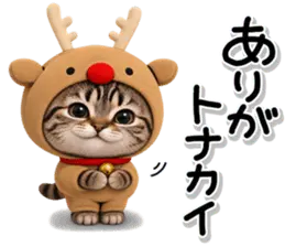 毎年使える♡キジトラの冬のだじゃれ