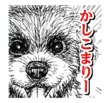 動く！迫り来る動物たち！その２