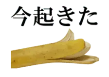 このバナナ動くぞ！【実写版】