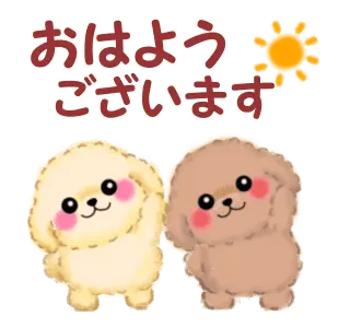 動く♪かわいい♥トイプードル2