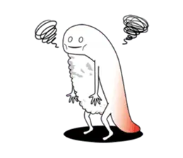 ずーしーほっきー