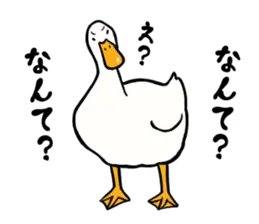 あひるさんの8