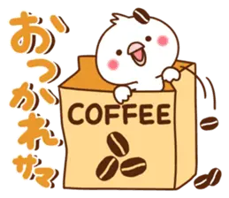 毎日しろちゃんPart７ 冬