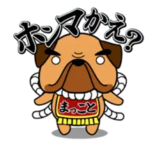 動くぜよ！土佐犬がおったとさ