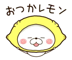 動く！くまぽこダジャレの巻