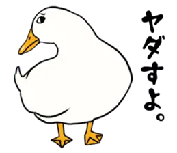 あひるさんの8