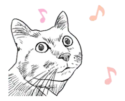 絵から写真へ変化する猫