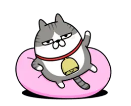 動く 擦れねこ（サバトラ）