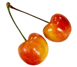 Rainier Cherry!