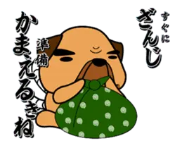 動くぜよ！土佐犬がおったとさ