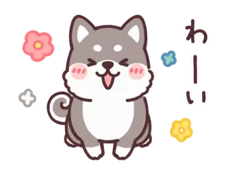 動く！ころころ柴犬 黒柴くん