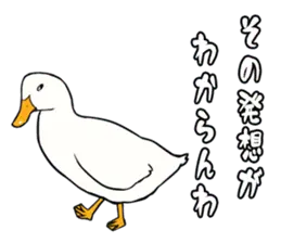 あひるさんの9
