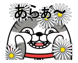 動く 擦れねこ3（サバトラ）