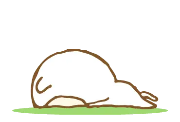 すこぶる可愛く動くねこ(再販)